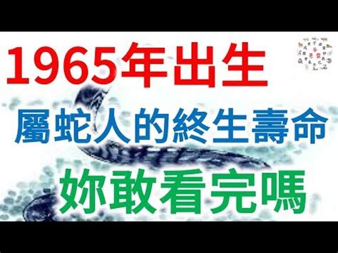 1965五行屬什麼